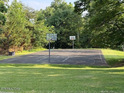 Tiny photo for Smokey Quartz Blvd, New Tazewell, TN 37825 (MLS # 1325236)