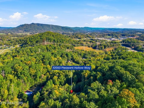 Tiny photo for 10560 Pleasant Hollow Way, Corryton, TN 37721 (MLS # 1359832)