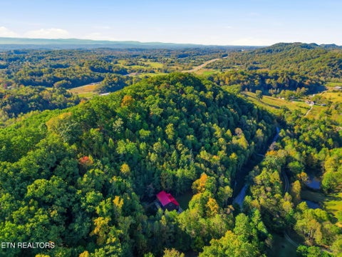 Tiny photo for 10560 Pleasant Hollow Way, Corryton, TN 37721 (MLS # 1359832)