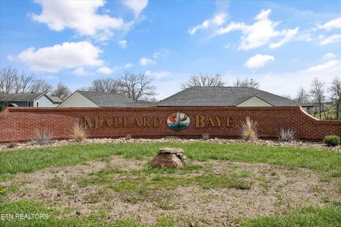 Tiny photo for 435 Baye Rd, Rutledge, TN 37861 (MLS # 1334023)