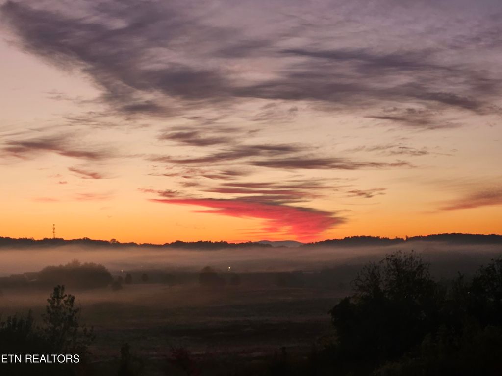 Photo of 294 Cedar Park Drive, Loudon, TN 37774 (MLS # 1329262)