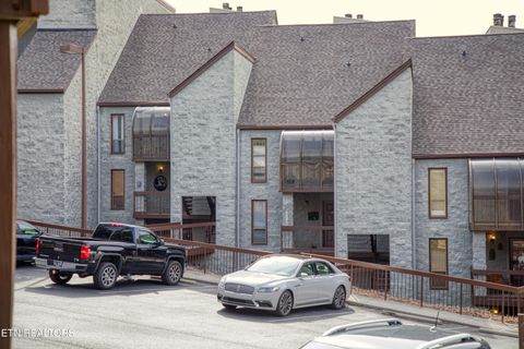 1155 Upper Alpine Way 303 Gatlinburg TN 37738