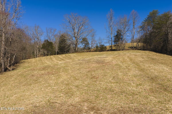 100 W HILLS RD, SNEEDVILLE, TN 37869 - Image 5d72c2e286e879a6b121b93f92a169c8/2365228838