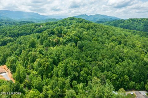 Tiny photo for Running Bear Rd, Cosby, TN 37722 (MLS # 1317773)