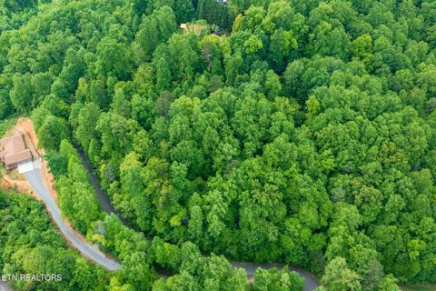 Tiny photo for Running Bear Rd, Cosby, TN 37722 (MLS # 1317773)