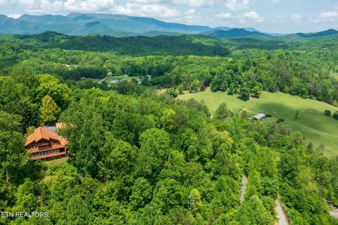 Tiny photo for Running Bear Rd, Cosby, TN 37722 (MLS # 1317773)