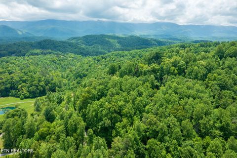 Tiny photo for Running Bear Rd, Cosby, TN 37722 (MLS # 1317773)