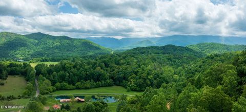 Tiny photo for Running Bear Rd, Cosby, TN 37722 (MLS # 1317773)