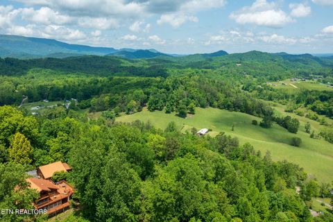 Tiny photo for Running Bear Rd, Cosby, TN 37722 (MLS # 1317773)