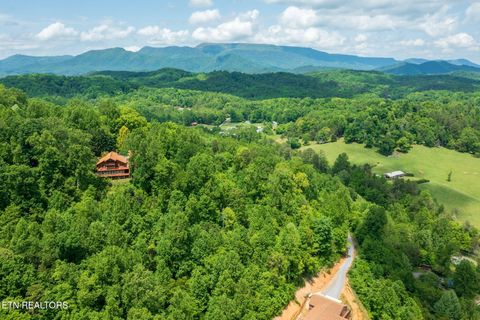 Tiny photo for Running Bear Rd, Cosby, TN 37722 (MLS # 1317773)