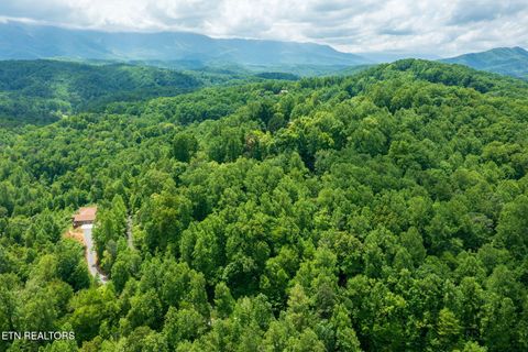 Tiny photo for Running Bear Rd, Cosby, TN 37722 (MLS # 1317773)