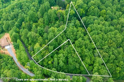 Tiny photo for Running Bear Rd, Cosby, TN 37722 (MLS # 1317773)