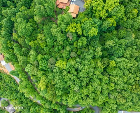 Tiny photo for Running Bear Rd, Cosby, TN 37722 (MLS # 1317773)