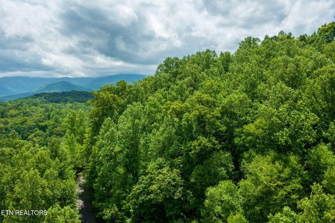 Tiny photo for Running Bear Rd, Cosby, TN 37722 (MLS # 1317773)
