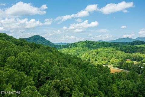 Tiny photo for Running Bear Rd, Cosby, TN 37722 (MLS # 1317773)
