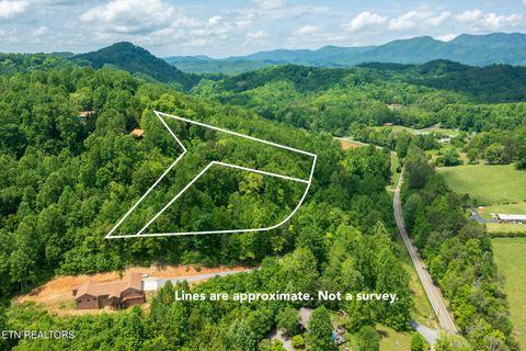Tiny photo for Running Bear Rd, Cosby, TN 37722 (MLS # 1317773)