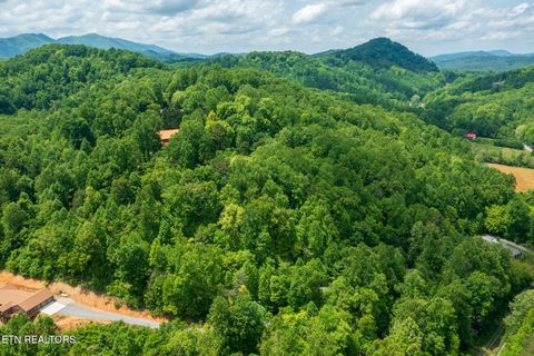 Tiny photo for Running Bear Rd, Cosby, TN 37722 (MLS # 1317773)