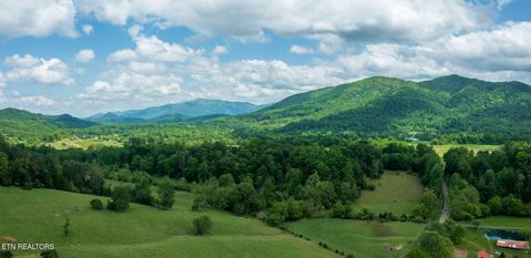 Tiny photo for Running Bear Rd, Cosby, TN 37722 (MLS # 1317773)