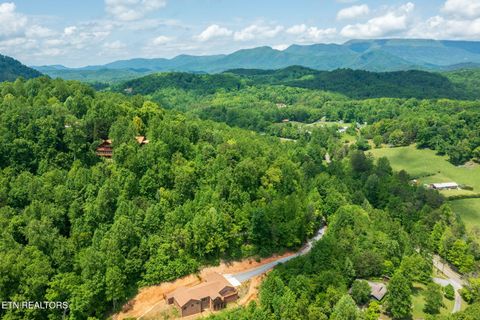 Tiny photo for Running Bear Rd, Cosby, TN 37722 (MLS # 1317773)