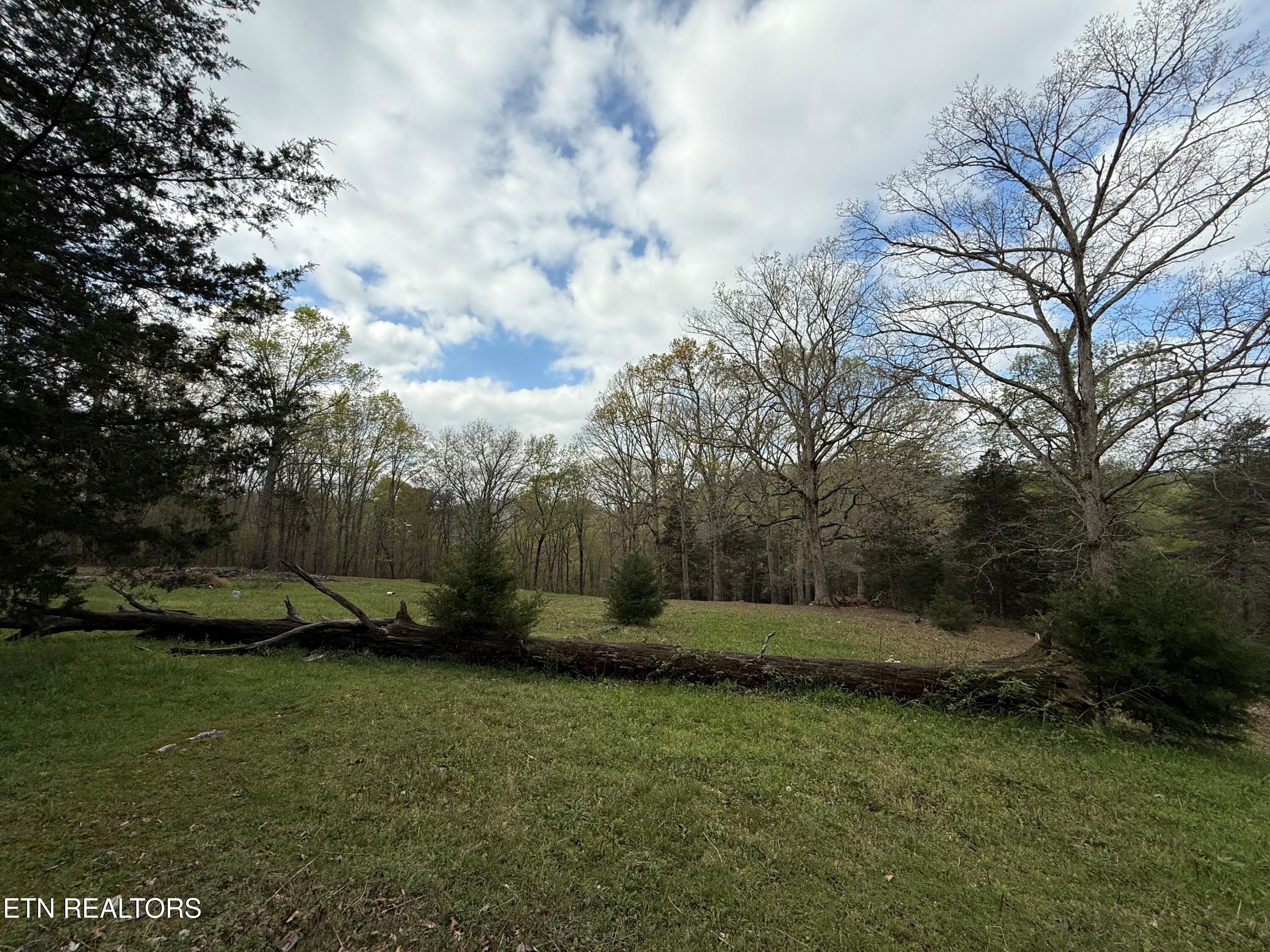 0 Chestnut Ridge Rd