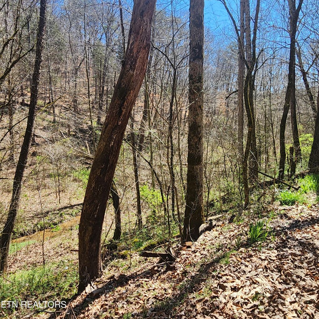 Photo of 1 Mill Pond Hollow Rd, Maynardville, TN 37807 (MLS # 1256488)