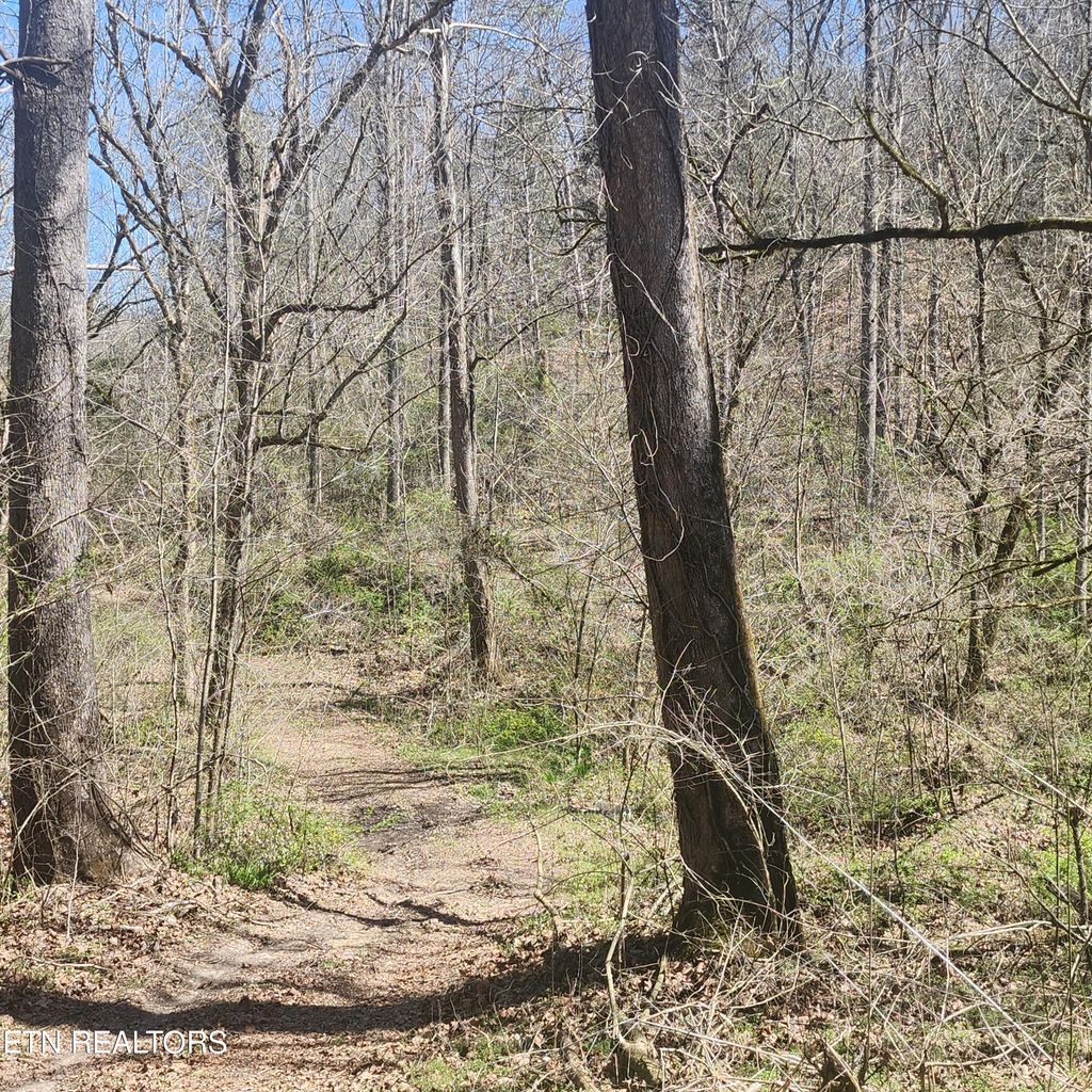 Photo of 1 Mill Pond Hollow Rd, Maynardville, TN 37807 (MLS # 1256488)