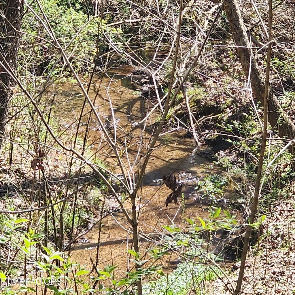 Photo of 1 Mill Pond Hollow Rd, Maynardville, TN 37807 (MLS # 1256488)