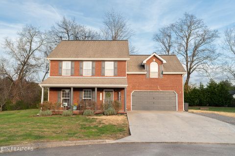 Photo of 5301 Mattice Lane, Corryton, TN 37721 (MLS # 1322123)