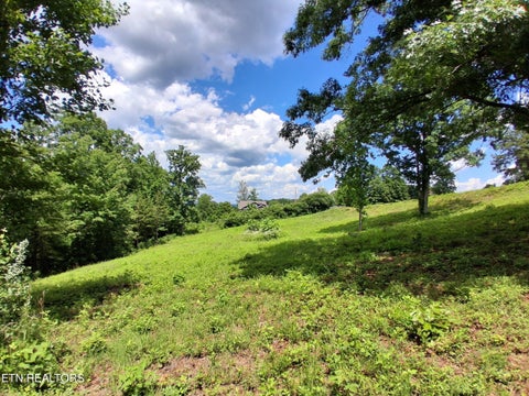 Tiny photo for 336 Woodstock Drive, Rutledge, TN 37861 (MLS # 1343363)