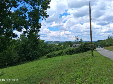 Tiny photo for 336 Woodstock Drive, Rutledge, TN 37861 (MLS # 1343363)