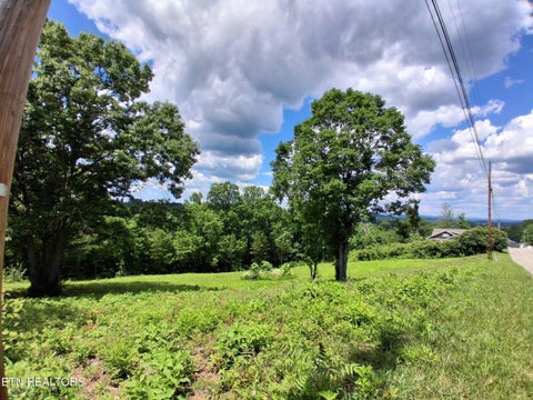Photo of 336 Woodstock Drive, Rutledge, TN 37861 (MLS # 1343363)