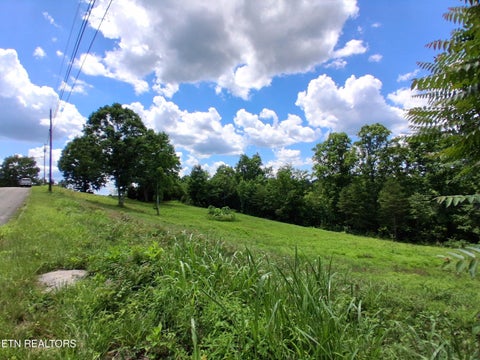Tiny photo for 336 Woodstock Drive, Rutledge, TN 37861 (MLS # 1343363)