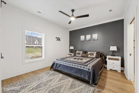 Tiny photo for 418 Fleeta Williams Way, Sevierville, TN 37862 (MLS # 1325735)