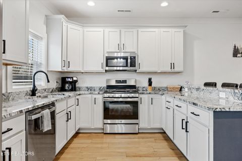 Tiny photo for 418 Fleeta Williams Way, Sevierville, TN 37862 (MLS # 1325735)