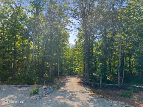 Tiny photo for 329 Cheyenne Drive, Jamestown, TN 38556 (MLS # 1356220)