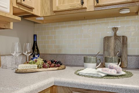 Tiny photo for 2743 Colonial Drive #APT 205, Pigeon Forge, TN 37863 (MLS # 1329401)