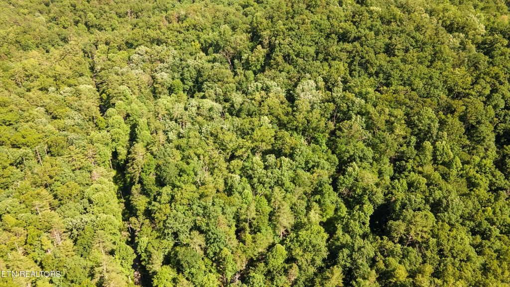 Photo of 1919 Walnut Flats Rd, Walland, TN 37886 (MLS # 1266045)