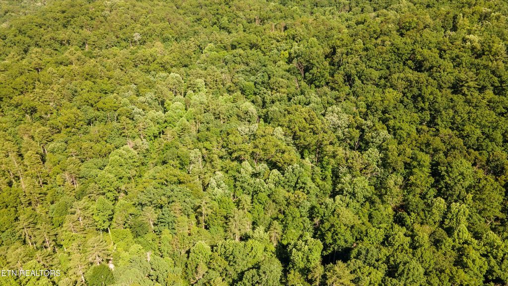 Photo of 1919 Walnut Flats Rd, Walland, TN 37886 (MLS # 1266045)