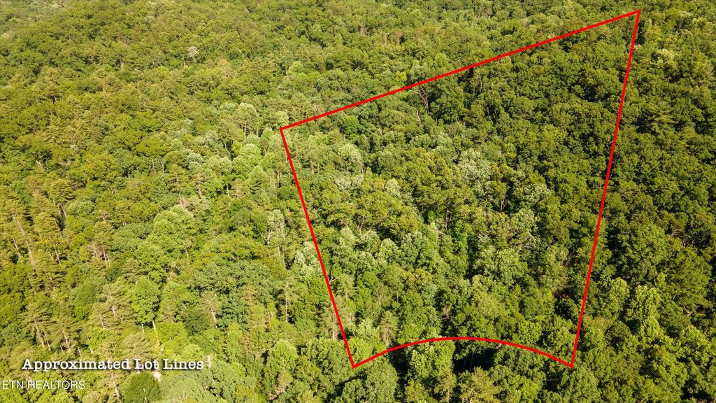 Photo of 1919 Walnut Flats Rd, Walland, TN 37886 (MLS # 1266045)