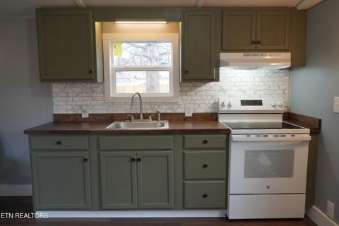 Tiny photo for 1414 Fina Lane, Dandridge, TN 37725 (MLS # 1322942)