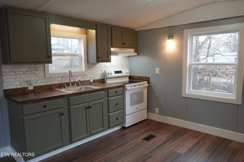 Tiny photo for 1414 Fina Lane, Dandridge, TN 37725 (MLS # 1322942)