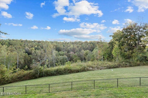 Tiny photo for 478 Bunch Rd, Blaine, TN 37709 (MLS # 1359799)