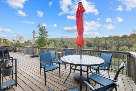 Tiny photo for 478 Bunch Rd, Blaine, TN 37709 (MLS # 1359799)