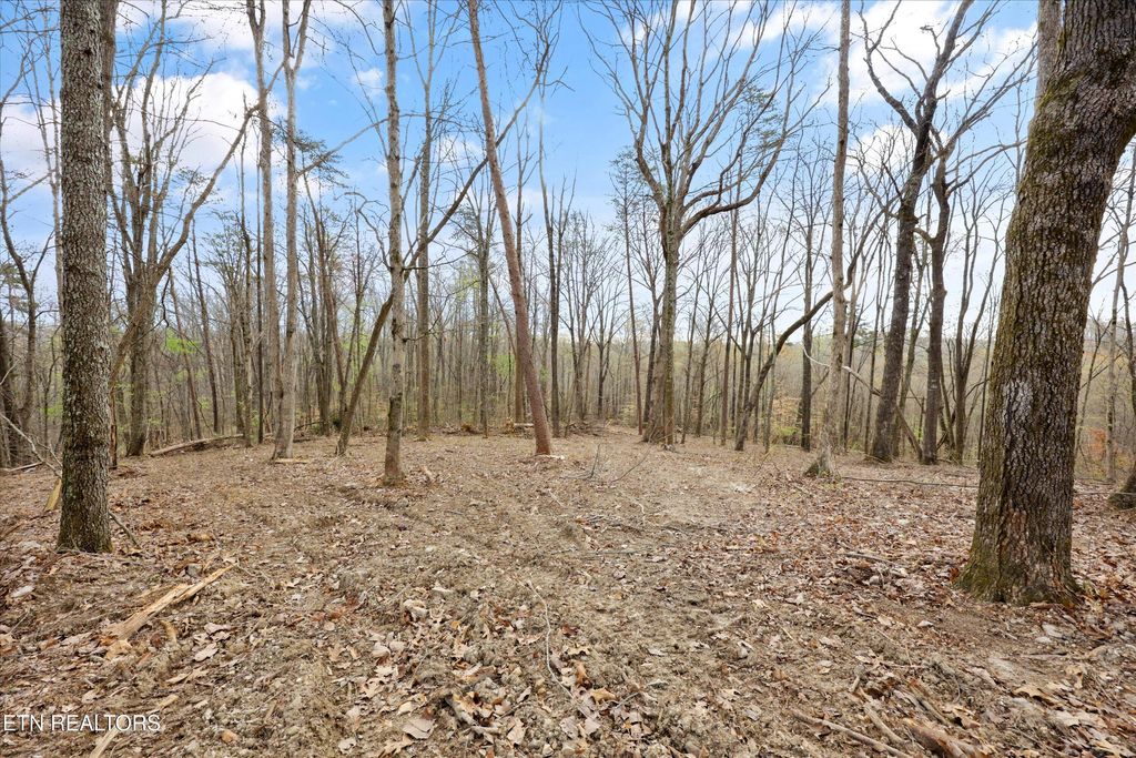 Photo of 0 Pleasant View Loop, Clinton, TN 37716 (MLS # 1334018)