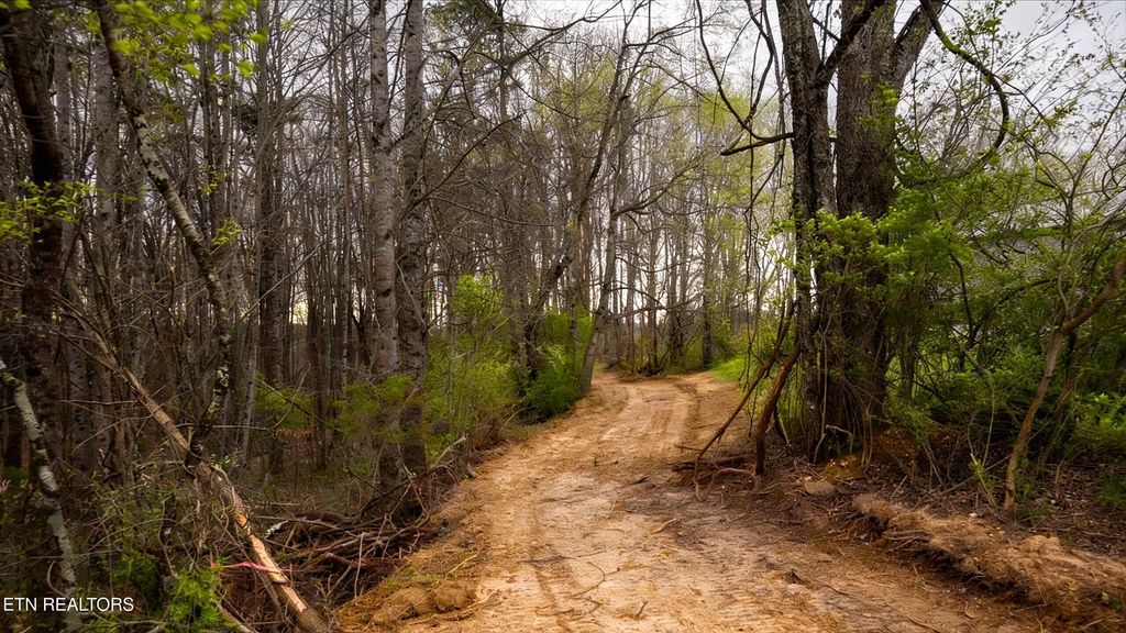 Photo of 0 Pleasant View Loop, Clinton, TN 37716 (MLS # 1334018)