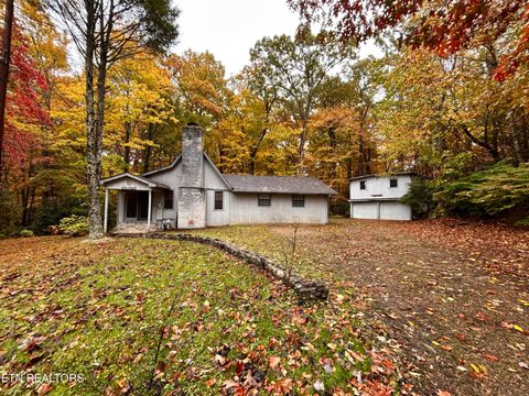 Photo of 223 Greywolf Way, Cosby, TN 37722 (MLS # 1309907)