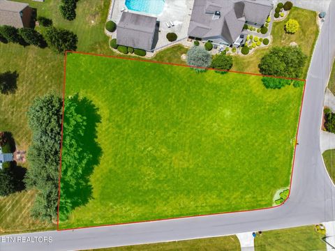 Photo of 38 Lindsey Drive DR, Madisonville, TN 37354 (MLS # 1347908)