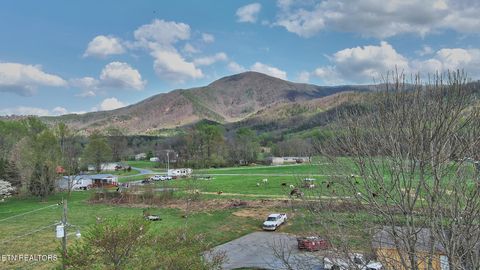 Tiny photo for 3623 Shelby Drive, Sevierville, TN 37862 (MLS # 1330169)