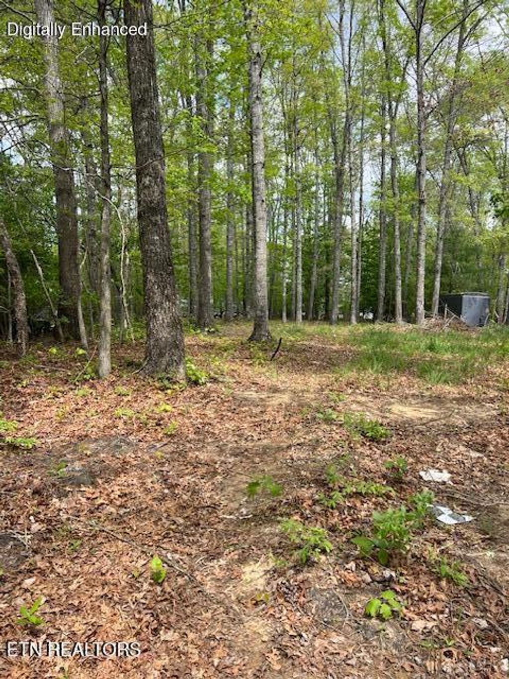 Photo of 3241 Oswego Rd, Crossville, TN 38572 (MLS # 1338170)