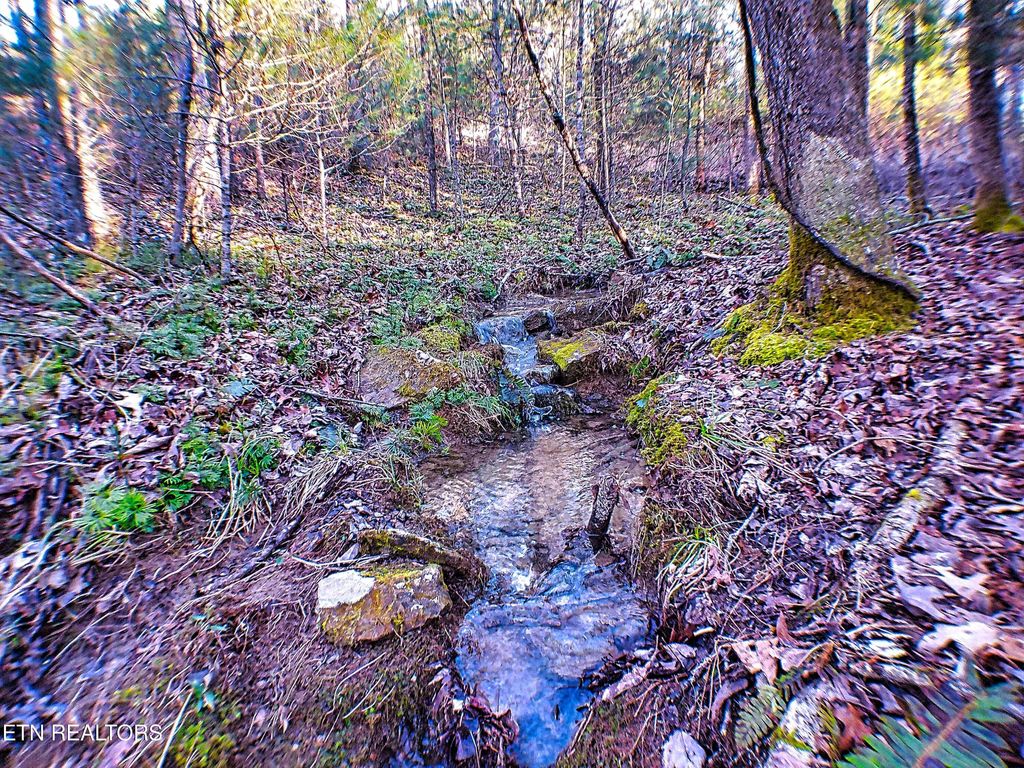 Photo of 144 Charlie Jones Rd, Deer Lodge, TN 37726 (MLS # 1321041)